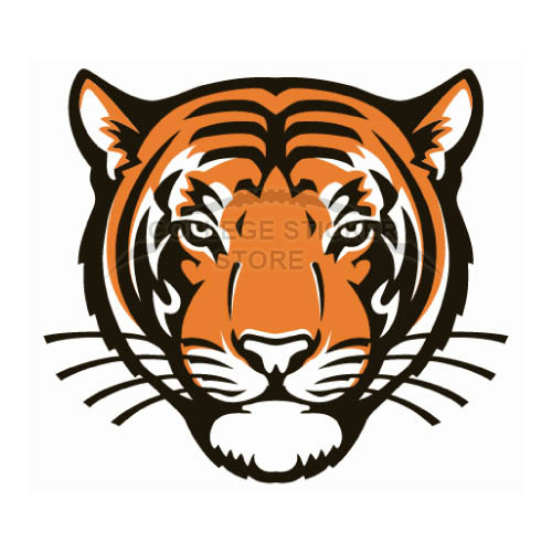 Homemade Princeton Tigers Iron-on Transfers (Wall Stickers)NO.5927